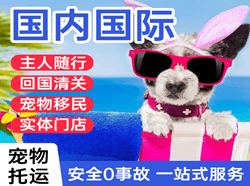 永兴航空物流国际宠物托运 【国